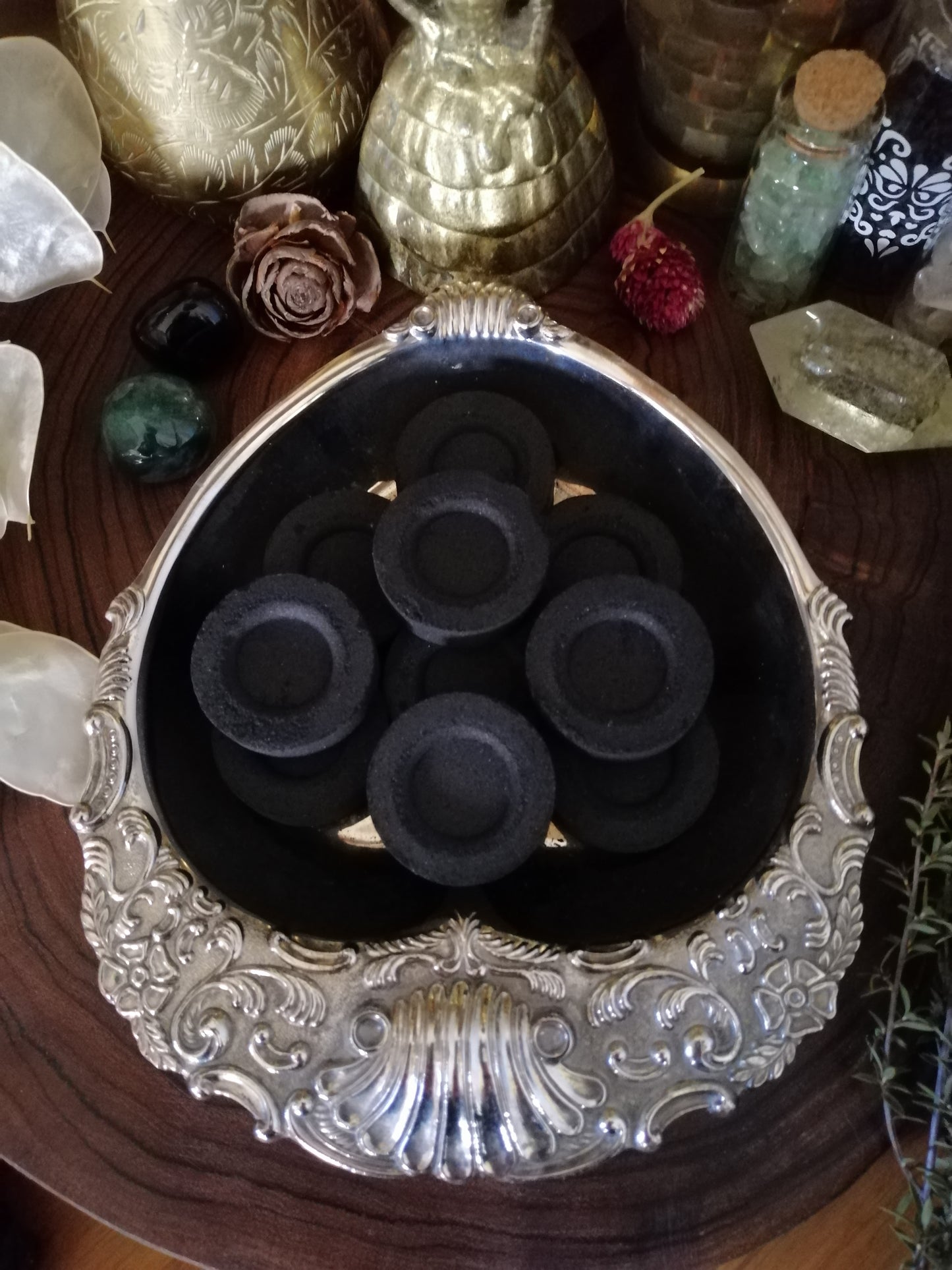 Charcoal Discs - Pack of 10