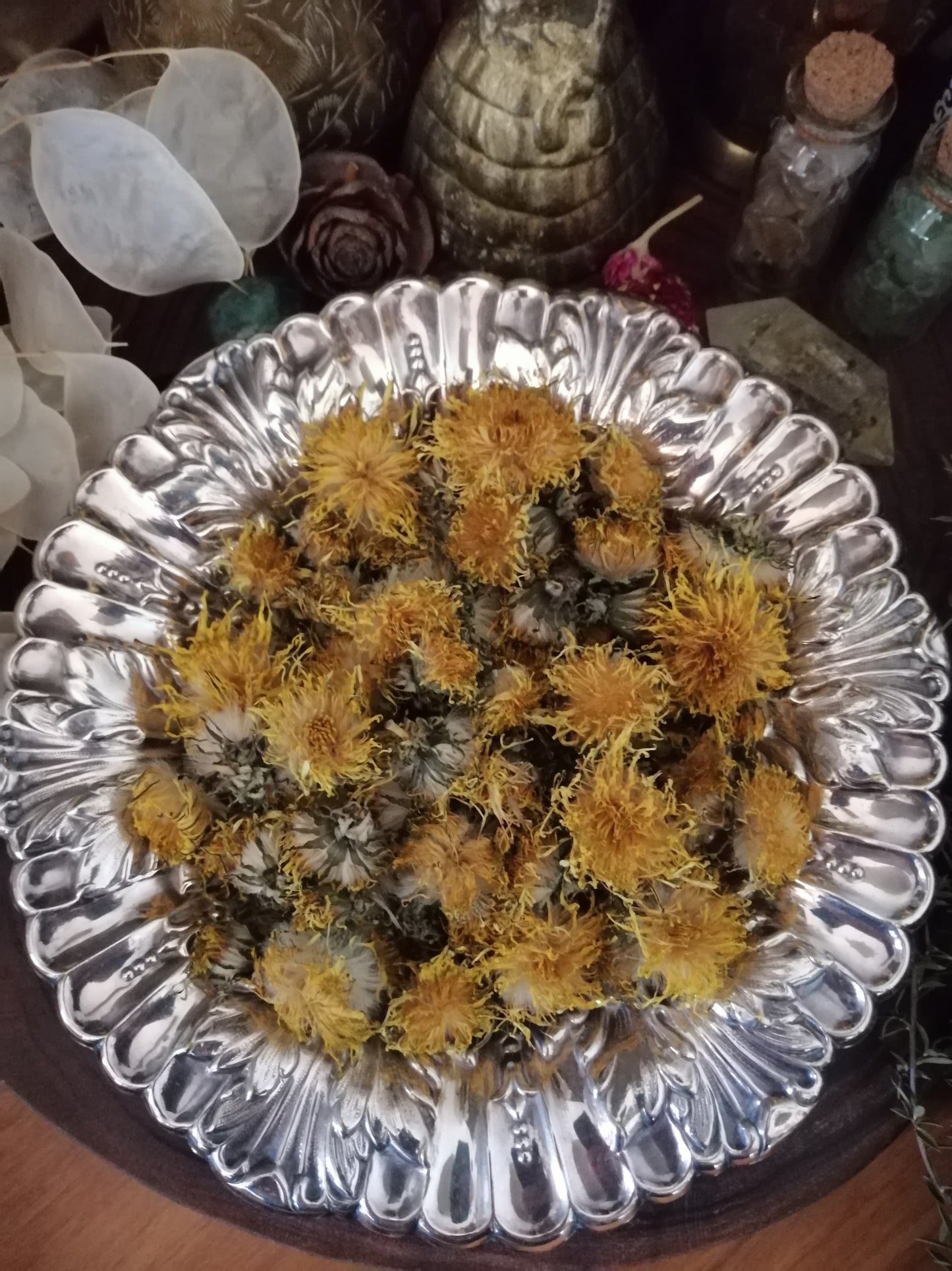Dandelion Dried Flowers