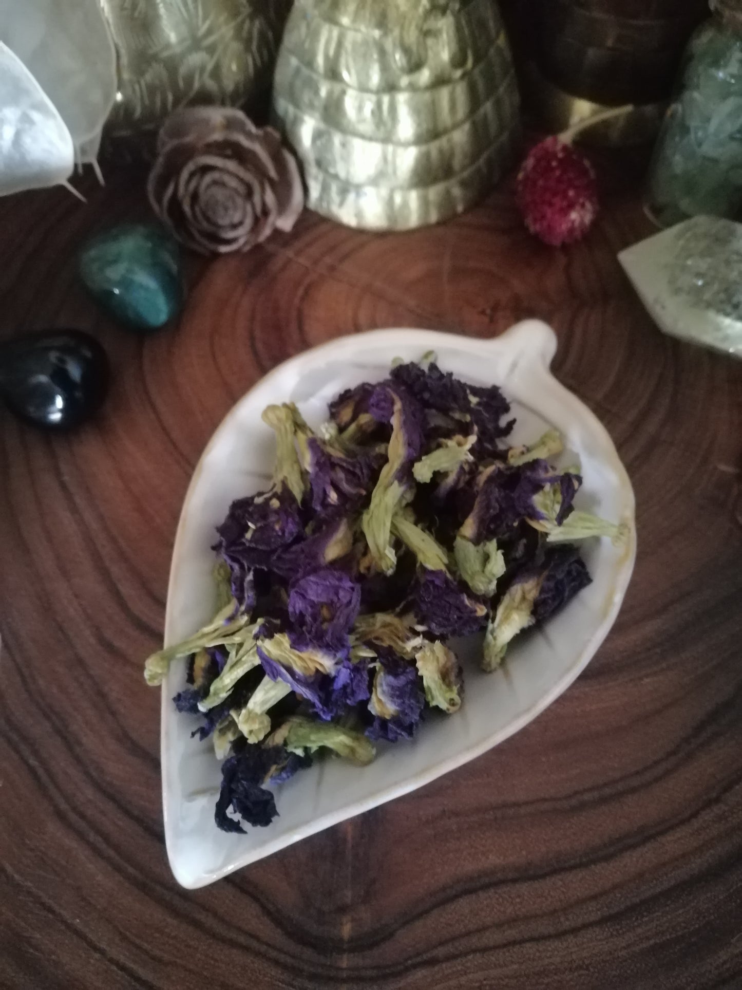 Blue Butterfly Pea Flower