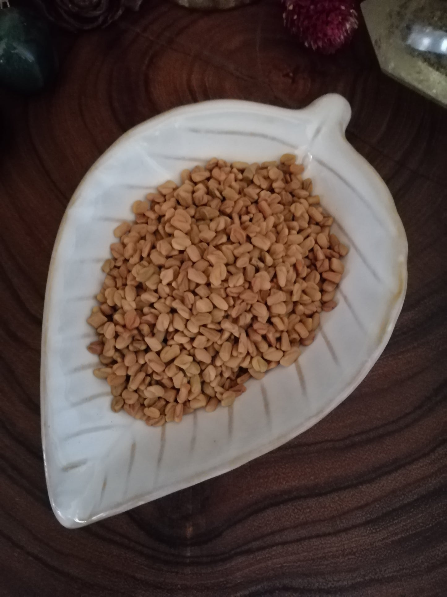 Fenugreek
