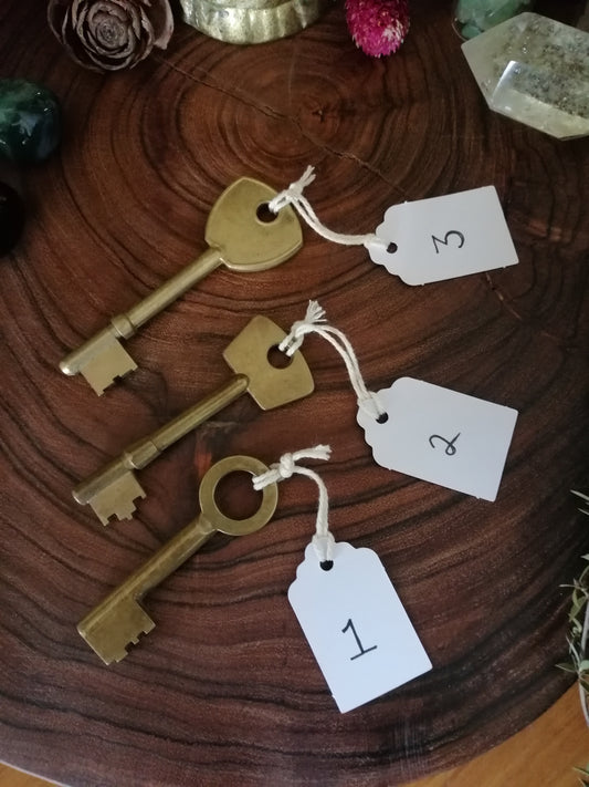 Brass Skeleton Key
