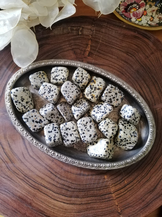 Dalmatian Jasper Tumbled Stone