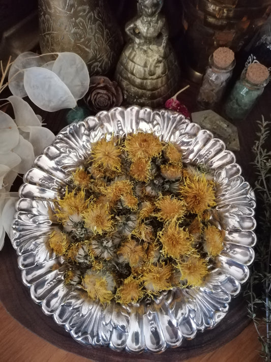 Dandelion Dried Flowers