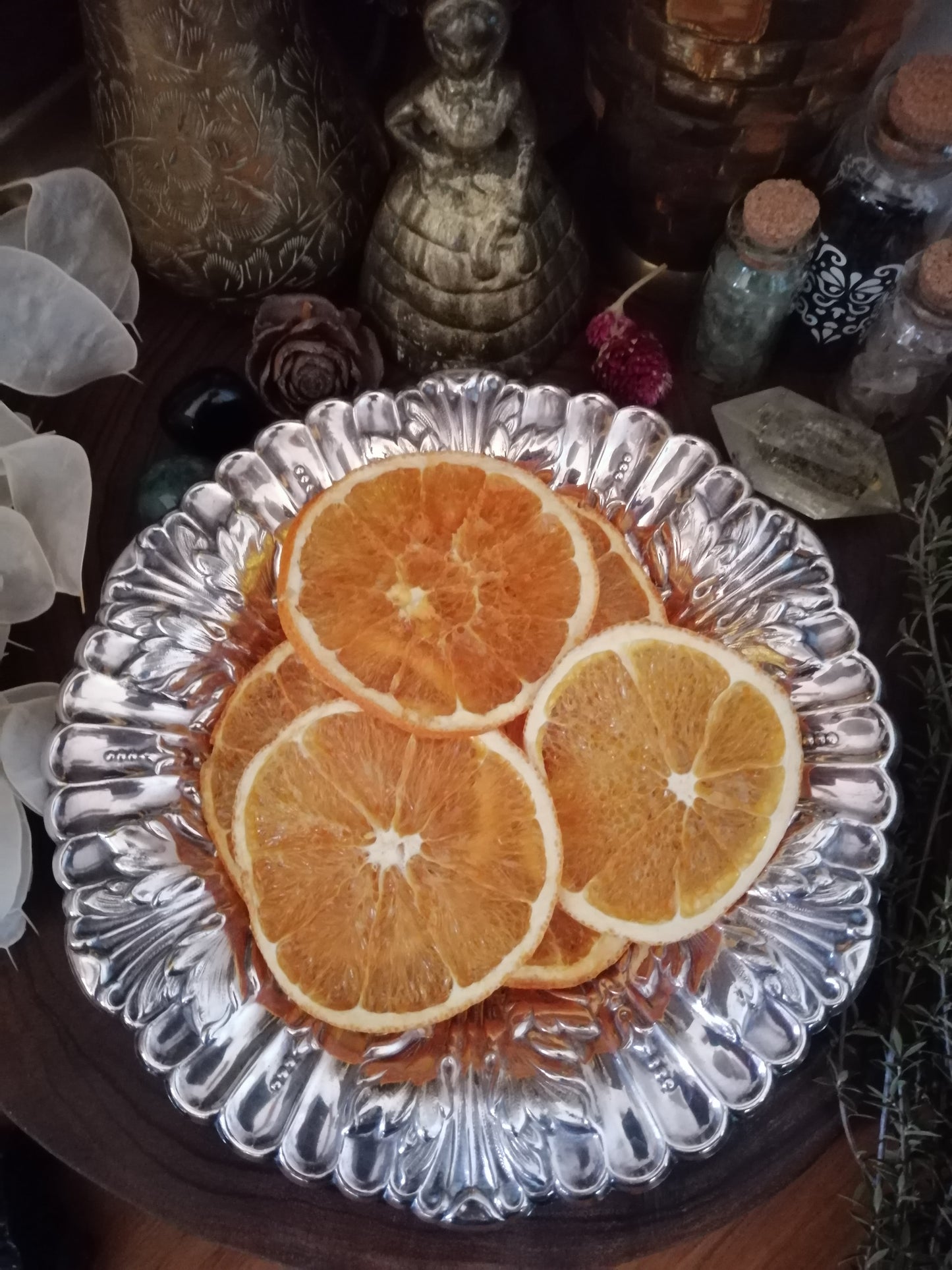 Orange Dried Slices