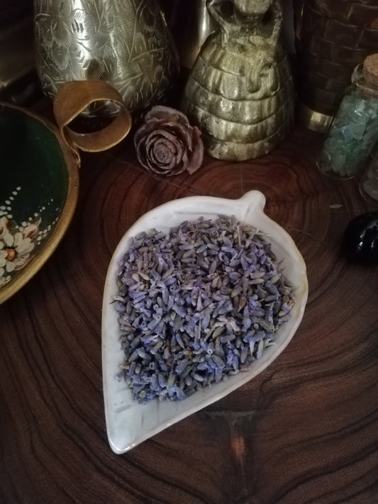 Lavender Buds