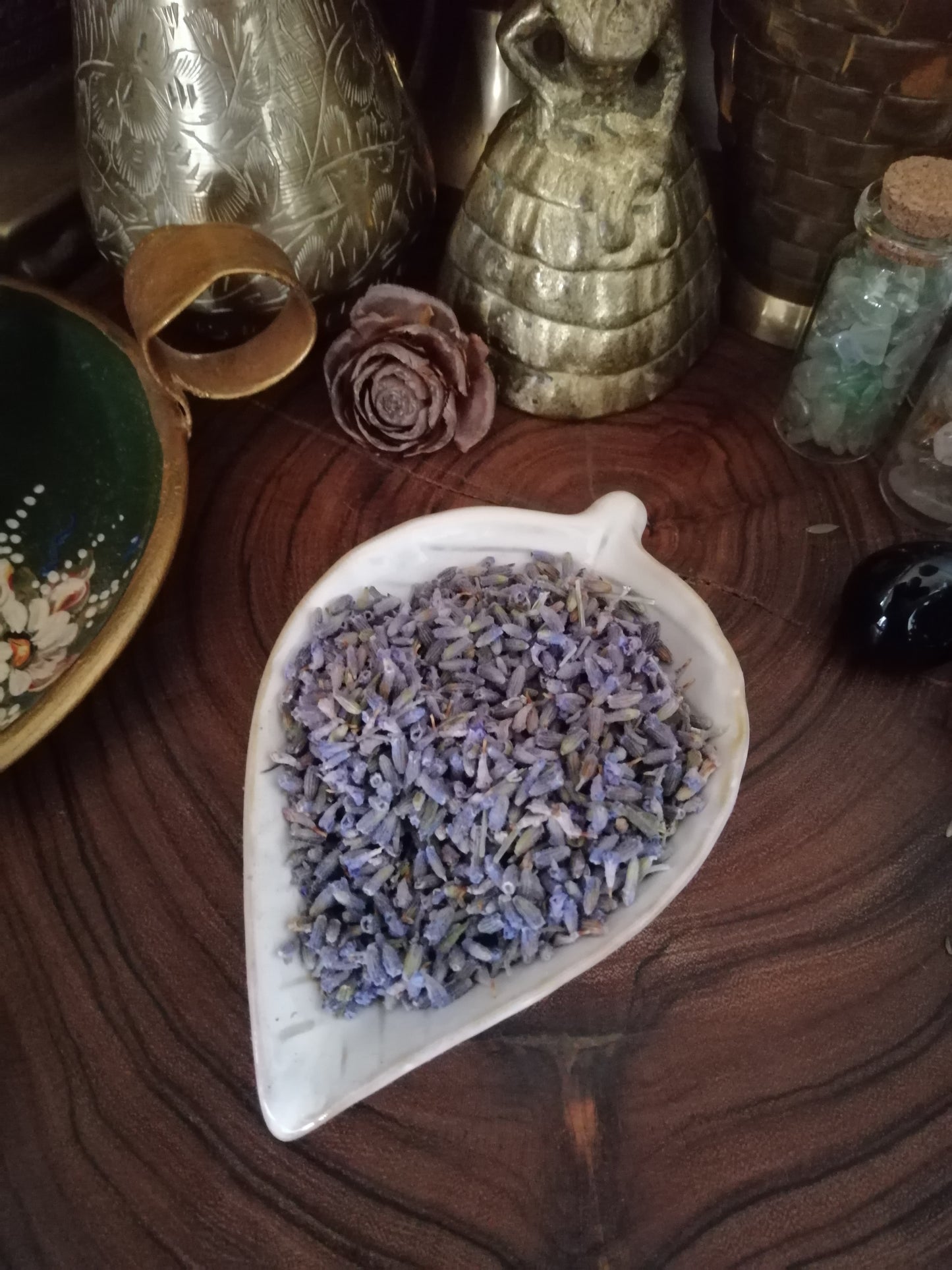 Lavender Buds