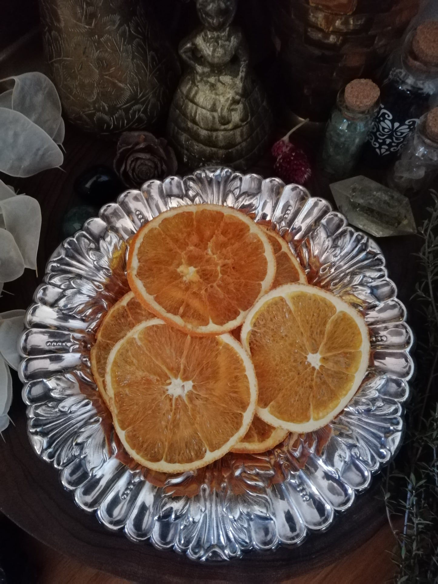 Orange Dried Slices