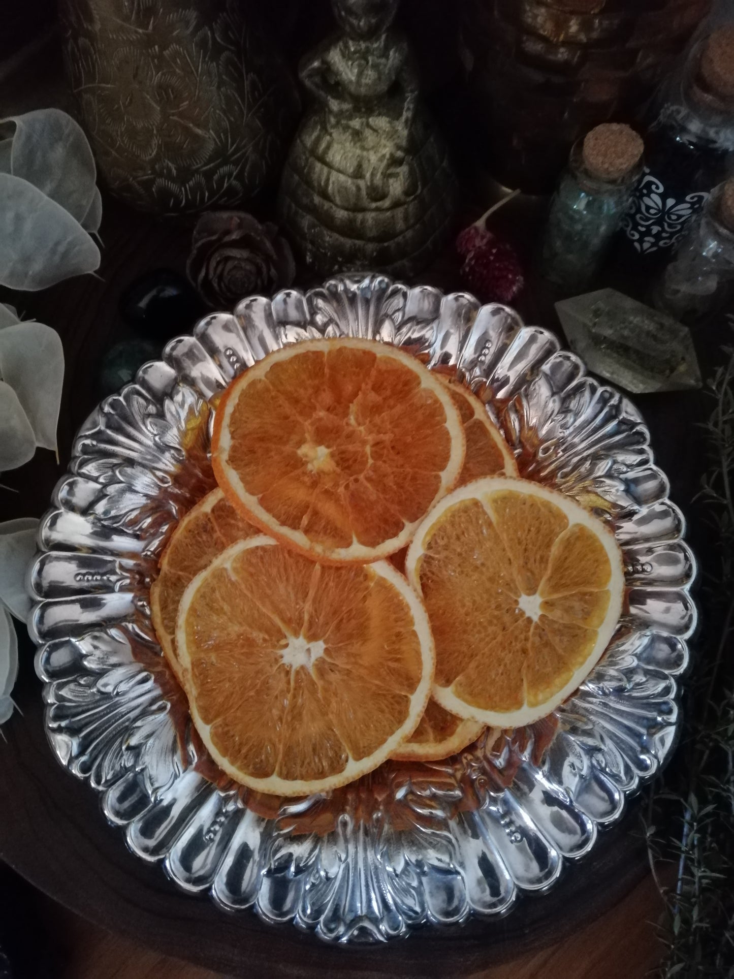 Orange Dried Slices