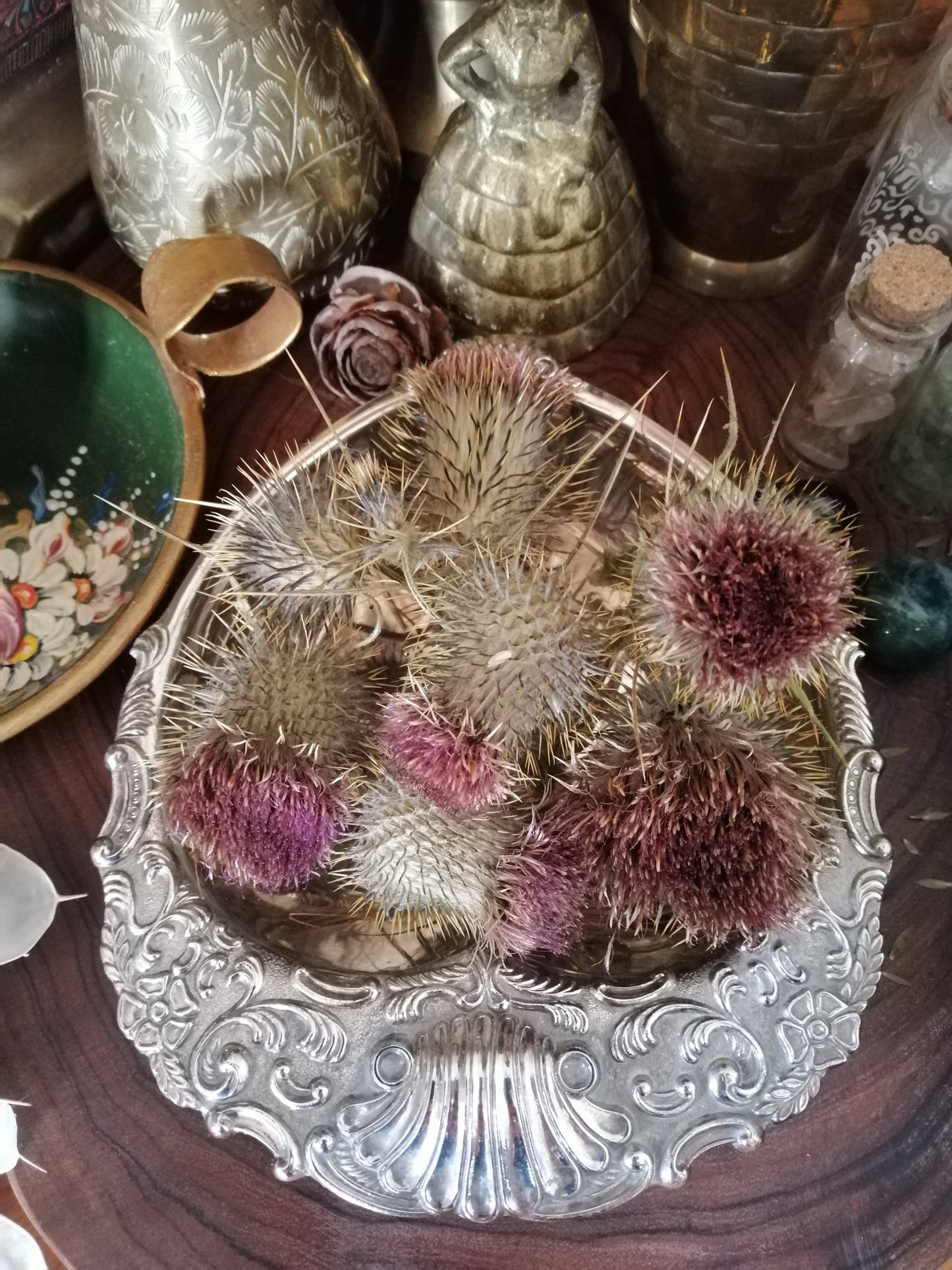 Thistle Dried Flowers