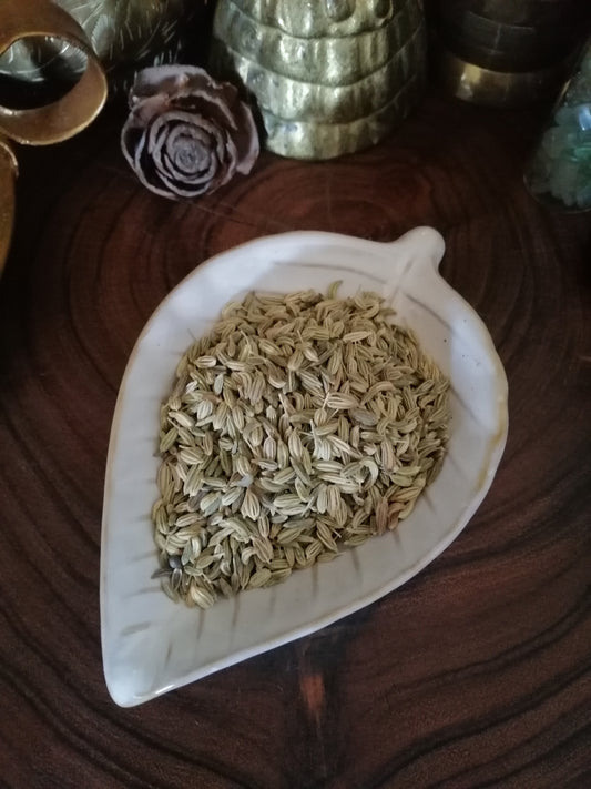 Fennel Seeds