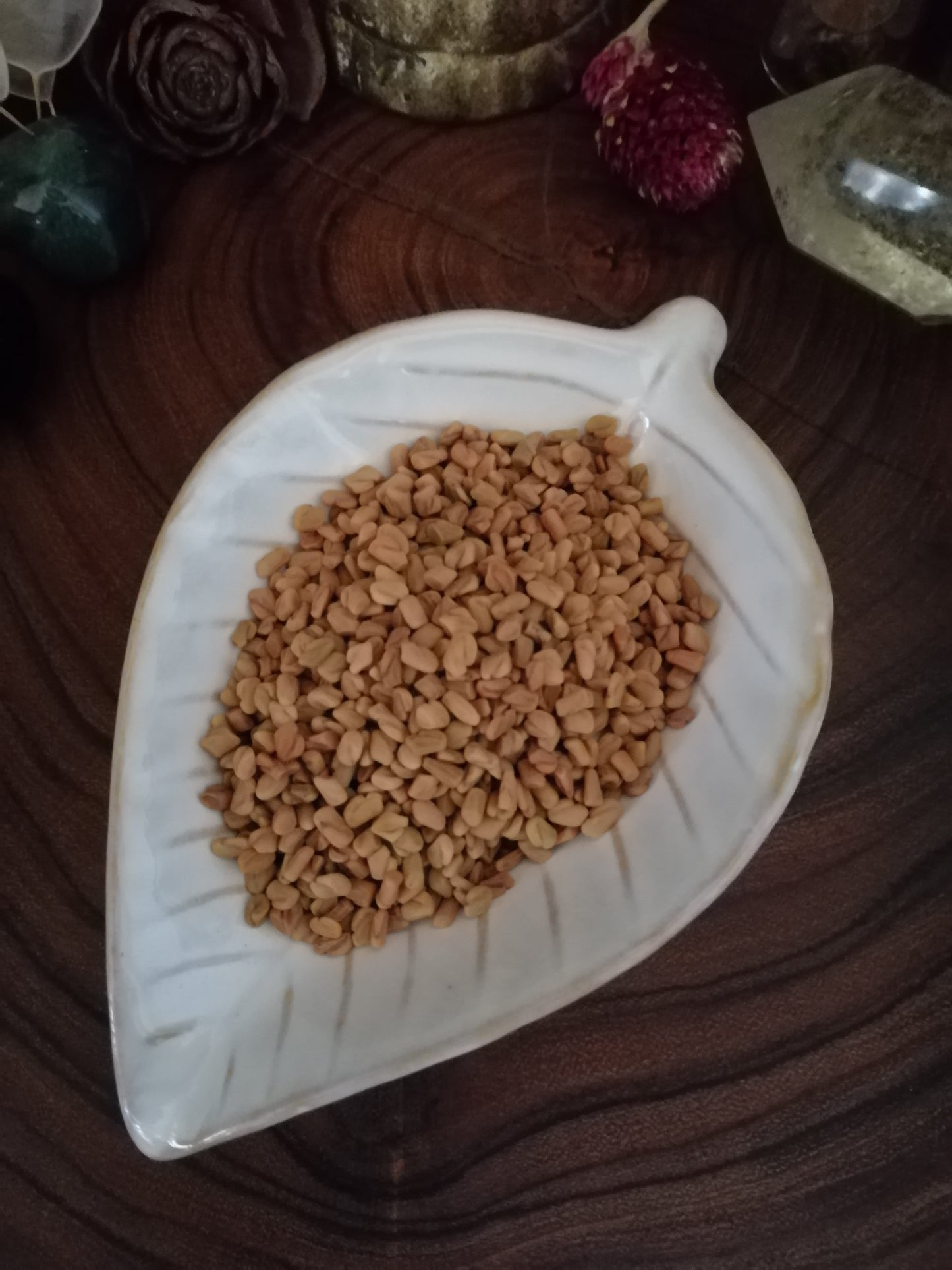Fenugreek