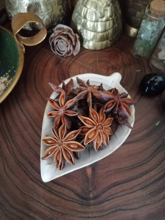 Star Anise